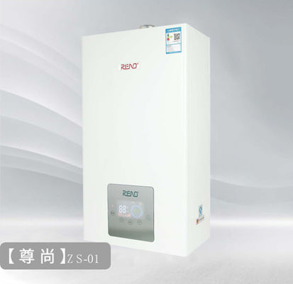 26kw 30kw ওয়াল মাউন্টেড গ্যাস বয়লার ডাবল ফাংশন Ng 24kw Lpg কম্বি বয়লার