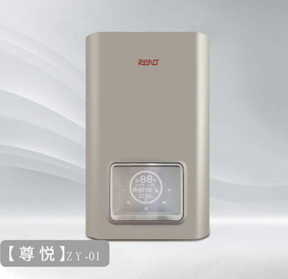 গ্যাস ওয়াল মাউন্টেড বয়লার 20kw এনজি বা এলপিজি সংমিশ্রণ বয়লার